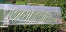 Ambalaje Romania Sibiu TODY PLAST SRL